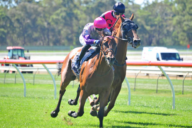 得分王之爭白熱化！虎撲網(wǎng)友預(yù)測本賽季最終歸屬