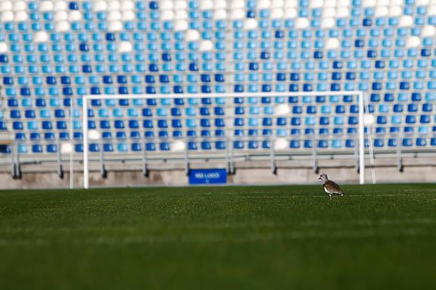 歐冠直播免費(fèi)觀看指南：24小時(shí)不間斷精彩賽事