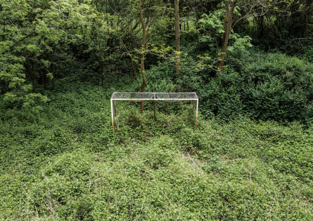 快樂(lè)八火狐在球探足球比分即時(shí)比分手機(jī)版app中的創(chuàng)新玩法解析