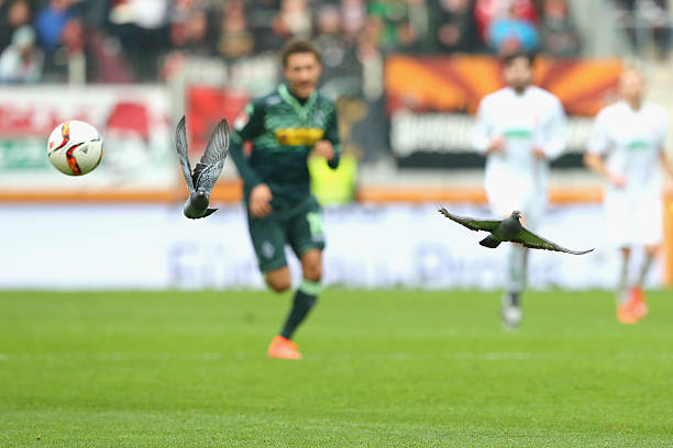 單場(chǎng)狂轟8球！那些令人難以置信的進(jìn)球表演