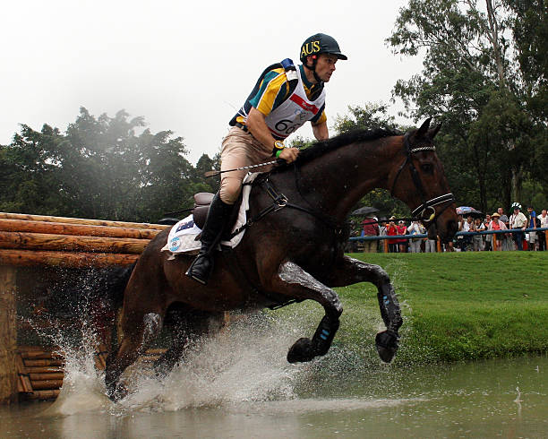 張本智和東京奧運(yùn)會(huì)比賽全記錄(2021年