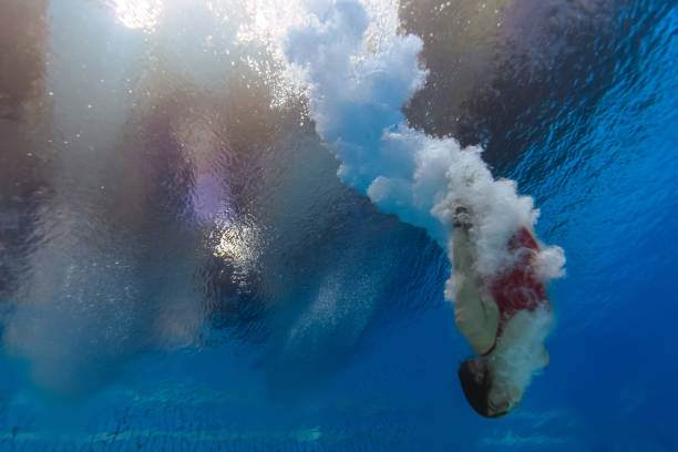 從奧運冠軍到職場精英：吳敏霞的現(xiàn)任職務(wù)