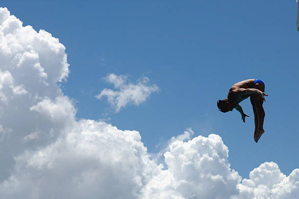 菲爾普斯毛線官網(wǎng)：探索高品質(zhì)毛線及編織材料的世界