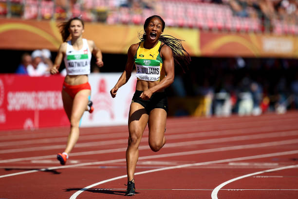 郭晶晶在體育教育領域的地位有何體現(xiàn)？