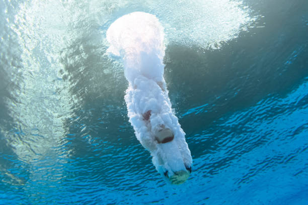 伏明霞的真實(shí)年齡曝光！網(wǎng)友：完全看不出來(lái)