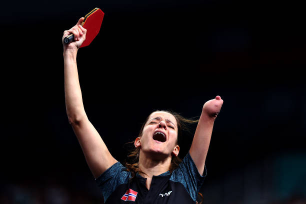 從膠皮到底板：詳解乒乓球拍的核心配置