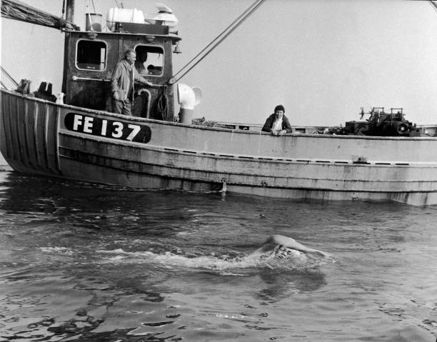 女性游泳愛(ài)好者的福音：自由泳的獨(dú)特優(yōu)勢(shì)