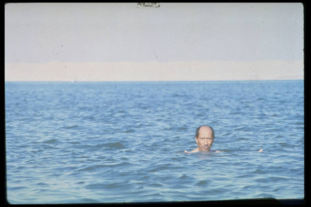 夏日必備！超簡單的游泳池繪畫指南