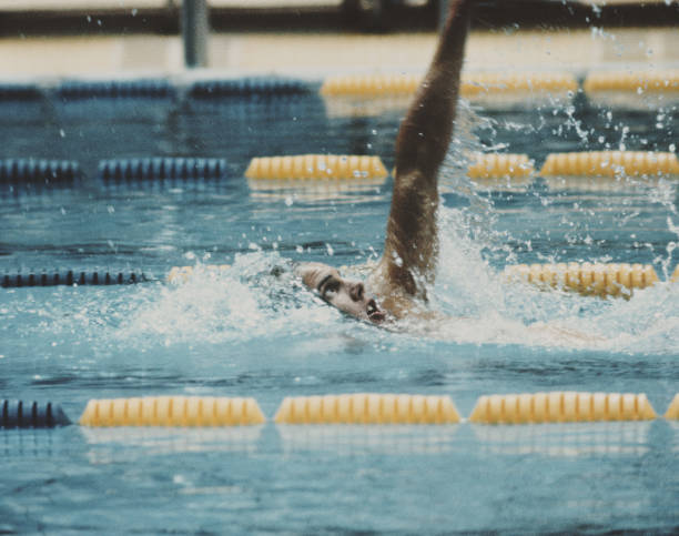 貓的游泳天賦：品種差異與訓(xùn)練方法全解析