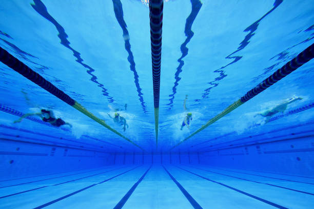 適用于專業(yè)評(píng)論，提供權(quán)威視角和深度洞察