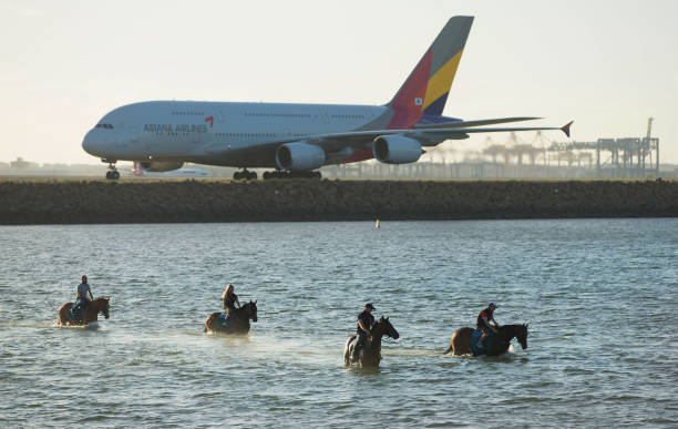 游泳裝備指南：從浮板到腳蹼，工具名稱(chēng)一覽