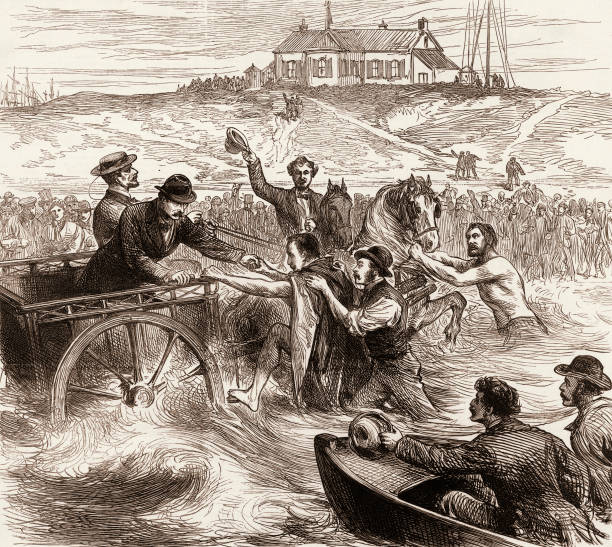 游泳等級表查詢系統(tǒng)官網(wǎng)入口：快速查詢與等級劃分