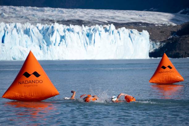 游泳拼音學(xué)習(xí)：從基礎(chǔ)到進階