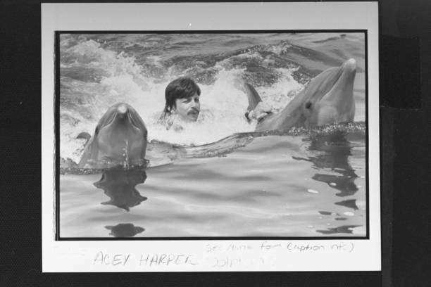 想通過游泳鍛煉身體？先了解自由泳和蛙泳的區(qū)別！