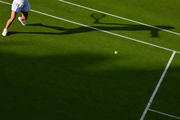 王薔網(wǎng)球賽事直播平臺對比：哪個更適合你？