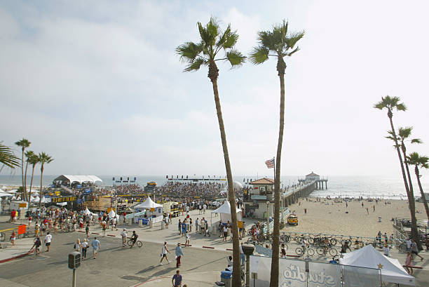 如何根據(jù)FIVB標(biāo)準(zhǔn)設(shè)置排球場地：尺寸與設(shè)備要求